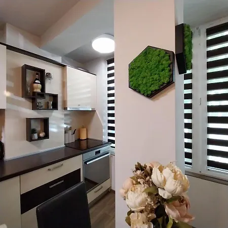 Ika Apartament *